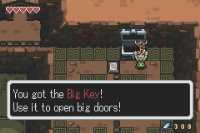 zelda_minishcap_big